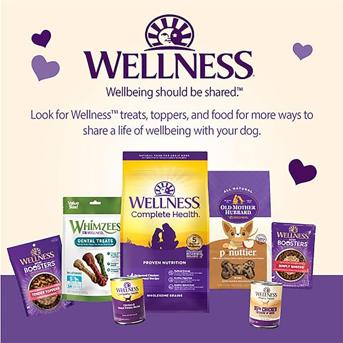 Wellness WellBars Crunchy Dog Training Treats, Natural, Grain Free, Yogurt, Apples and Banana Recipe, 45 oz Bag