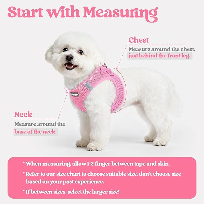 rabbitgoo Dog Harness Small Sized and Leash Set, Step in Soft Light Puppy Vest, Breathable Mesh Pet Harness, Reflective for Safe Easy Walking, Light Pink M