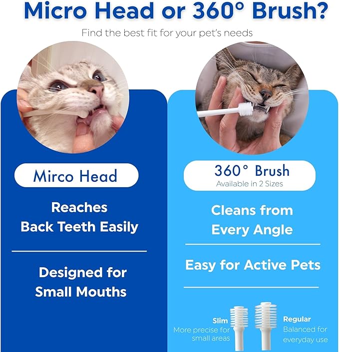 MIND UP Cat Toothbrush with Micro Head, 15° Angled Design for Easier Reach, Pet Toothbrush for Cats & Kittens, Gentle Everyday Brushing, Made in Japan