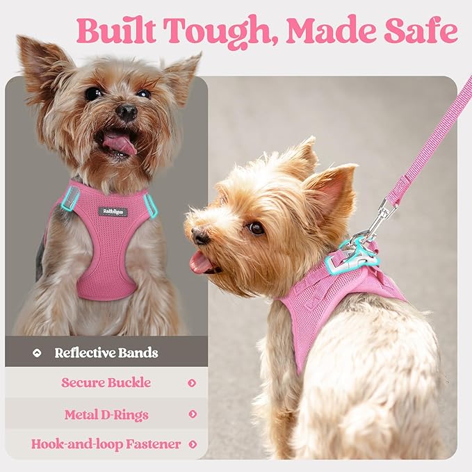 rabbitgoo Dog Harness Small Sized and Leash Set, Step in Soft Light Puppy Vest, Breathable Mesh Pet Harness, Reflective for Safe Easy Walking, Light Pink XXS