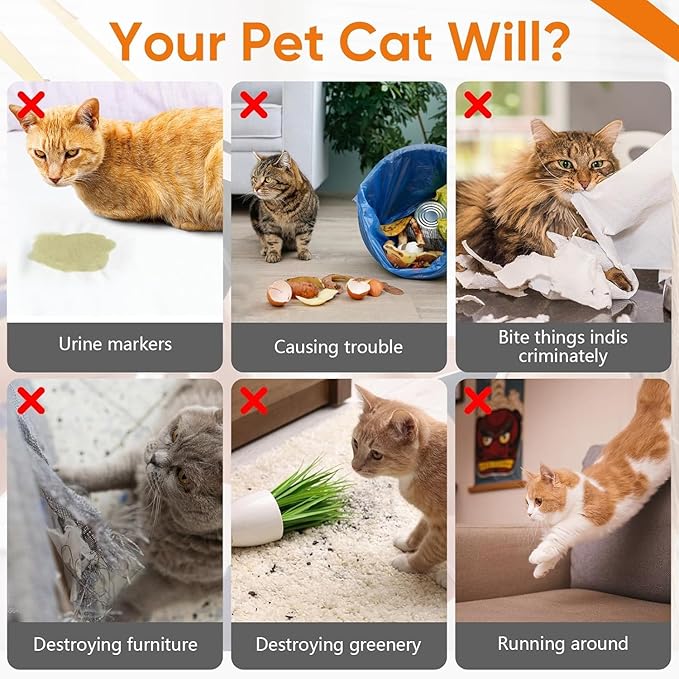Cat Deterrent Spray, Citrus Spray for Cats, Anti-Scratch & Anti-Marking for Furniture, Sofas & Carpet, Indoor & Outdoor Furniture Protection 7.0 OZ