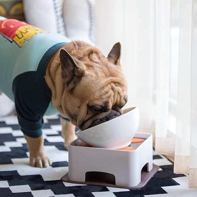 Bulldog Bowl Anti-Slip Dog Cat Dish Detachable Dog Bowls Pet Sterile Tilted Pet Feeder Slope Base (White,Ceramic-1.5 Cup