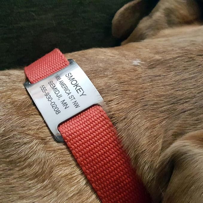 LuckyPet Slide-On Pet ID Tags - Dog Tags Personalized - Durable Engraved Stainless Steel Pet Name Tags - Noiseless Dog Tag - Suitable for Dogs and Cats - Fits 1 inch Collars - Large, Open Ends