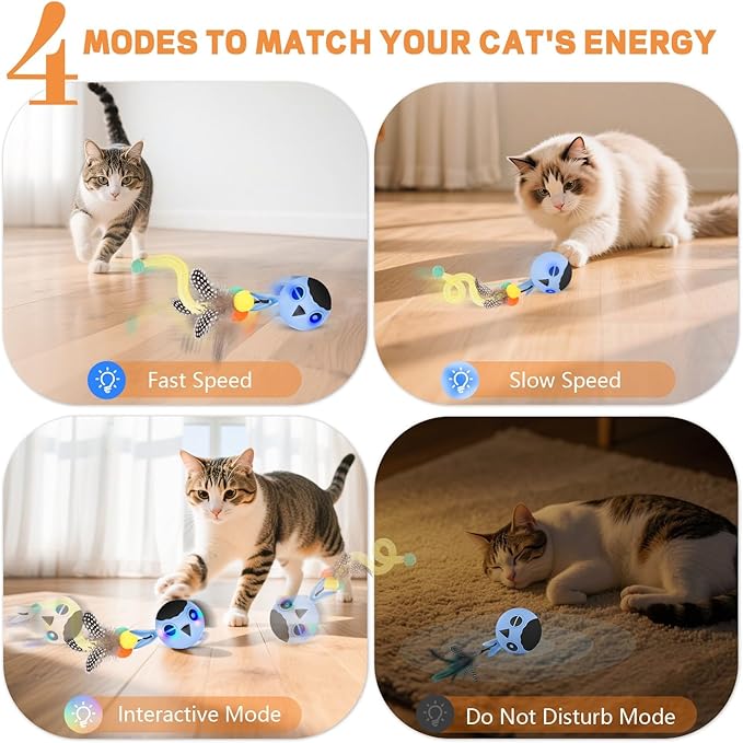 Cat Toys, Interactive Cat Toys for Indoor Cats, USB Rechargeable Electronic Smart Exercise Kitten Toy, Motion Chirping Activated Moving Ball (Blue)