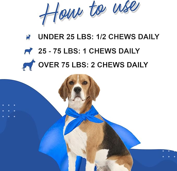 WONDER PAWS Daily Multivitamin Chews Plus Skin + Coat Chews - for Dogs Immune Support, Digestive Health, Joint Support, Skin & Coat - Daily Multi 60 Chews - Skin + Coat 70 Chews
