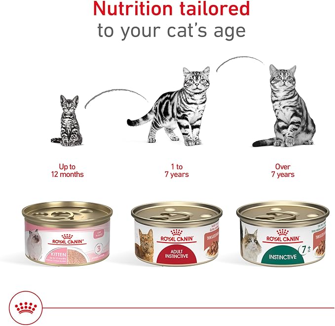 Royal Canin Feline Health Nutrition Adult Instinctive Adult Thin Slices in Gravy Cat Food, 3 oz (Pack of 12)