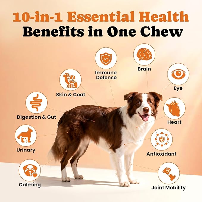 Dog Daily Nutrition & Digestive Support Bundle – Multivitamin Soft Chews with Probiotic Powder for Gut Health & Wellness