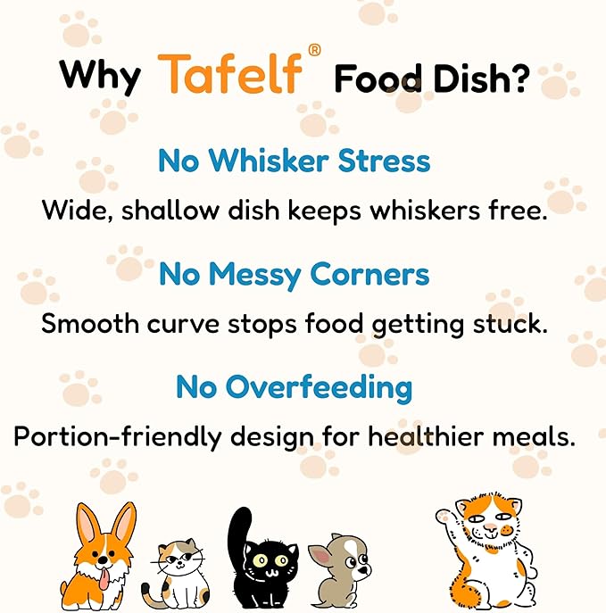 2 Pcs Whisker-Friendly Cat Food Bowl, Melamine Shallow & Wide Cat Bowl for Indoor Cats,Relieves Whisker Fatigue,Non-Slip Cat Dish for Wet and Dry Food (Green + Blue