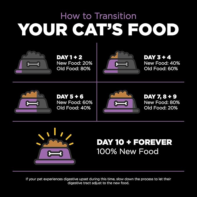 Go! Solutions Carnivore Chicken, Turkey + Duck Grain-Free Dry Cat Food, Our Highest-Protein Kibble Made with Real Meat & Fish, Cranberries for Urinary Health, for Kittens, Adults & Seniors, 3 lb Bag