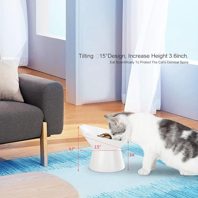 Detachable Elevated Cat Bowls, 15° Tilted Raised Cat Food Bowl Anti-Vomiting, Whisker Friendly, Adjustable Pet cat Dishes for Protecting Spine, Adult Kitten (White)