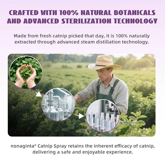 Catnip Spray for Cats, Catnip Mist for Indoor Cats - Organic Herbal Formula to Encourage Active Play & Renew Old Toys, 100% Natural & Safe (2 fl.oz)