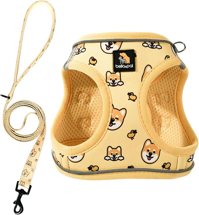 BELLA & PAL Step in Vest Harness for Small and Medium Dogs, No Pull Small Dog Harness with Leash Set, Comfortable Air Mesh Dog Vest Harness with Reflective Strip (Genki Shiba, XS)