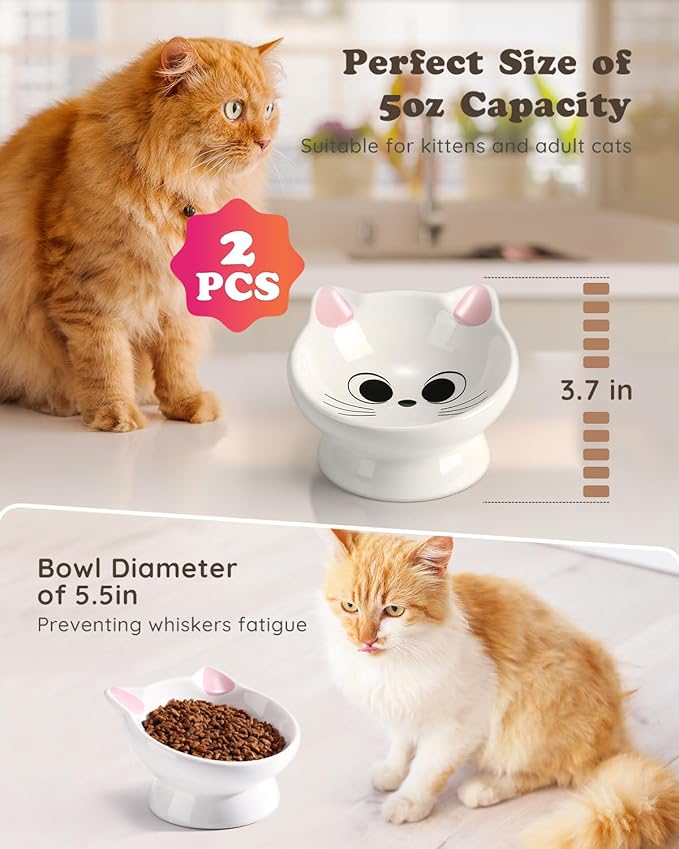 2Pcs Raised Cat Food Bowl Ceramic 15° Tilted Cat Food Bowls Protect Cat's Spine Anti Vomiting Backflow Prevention Bowls for Adult, Kitten, and Small Dogs, Pink