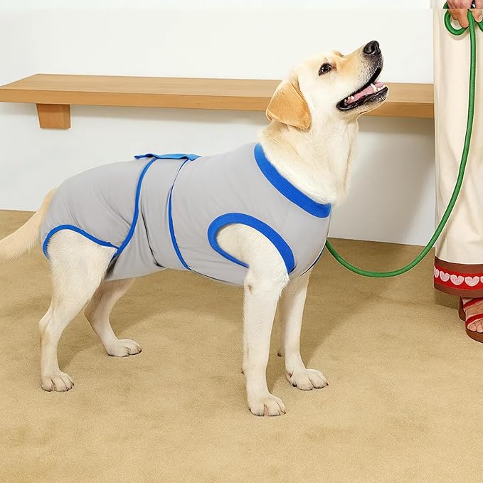 Recovery Suit for Dogs Cats After Surgery, E-Collar & Cone Alternative Surgical Suit, Prevent Licking Dog Onesies Pet Surgery Recovery Suit Soft Dog Bodysuit, Grey Blue, M