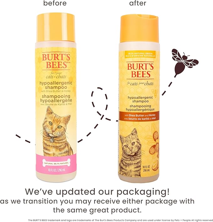Burt’s Bees for Pets Hypoallergenic Cat Shampoo with Shea Butter and Honey, Gentle Kitten Shampoo for Indoor Cats with Dry or Sensitive Skin, Cat Bathing Supplies, 10 Fl Oz - 6 Pack