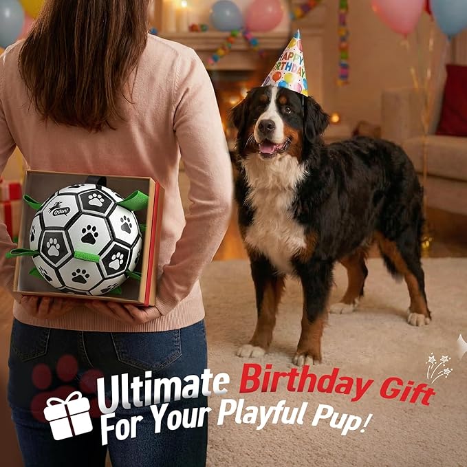 QDAN 10 Inch Gaint Dog Soccer Ball with Straps, Durable Big Dogs Balls, Outdoor Large Dog Toys, Herding Balls for Dogs, FloatingToy, Birthday Gifts (10 Inch)