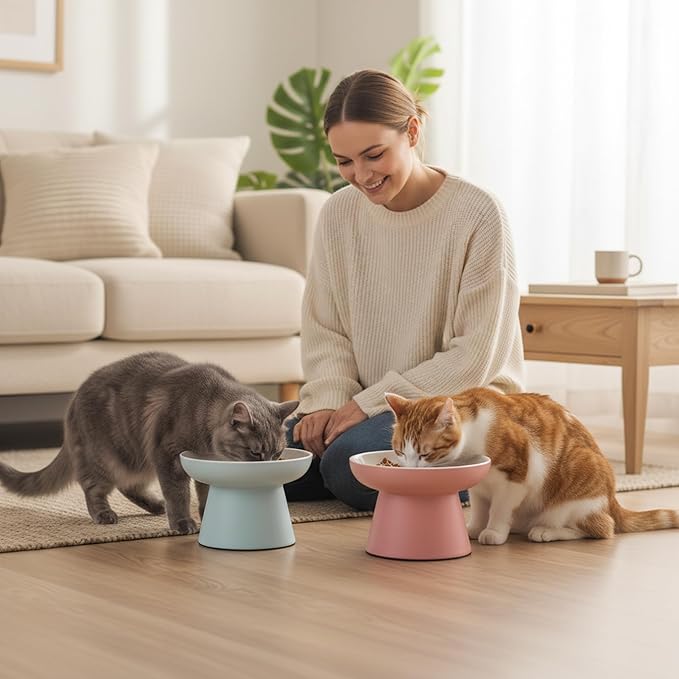 Elevated Cat Food Bowls 2 Pack,Ceramic Raised Cat Bowls with Non-Slip Base,Whisker Friendly Shallow Design for Dry & Wet Food,Anti-Vomiting Cat Feeder,Dishwasher & Microwave Safe (Pink&Blue)