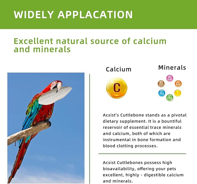 4.3"-4.7" Cuttlebone for Birds,Parakeets Cuddle Bone Beak Trimming,Premium Calcium Natural Cuttlefish Bone for Parrot,Cockatiel,Budgie,Tortoise, Snails,Reptiles,12 Pcs