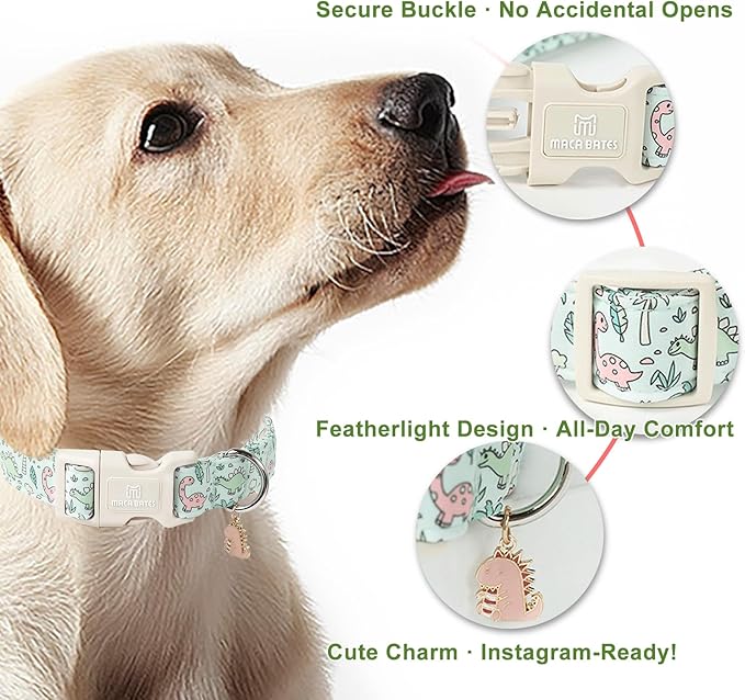 Maca Bates Spring Green Cute Dinosaur Basic Dog Collar for Small Boy Girl Dogs,Durable Soft Adjustable Collars Gift for Male Female Puppy Pet with Safety White Buckle