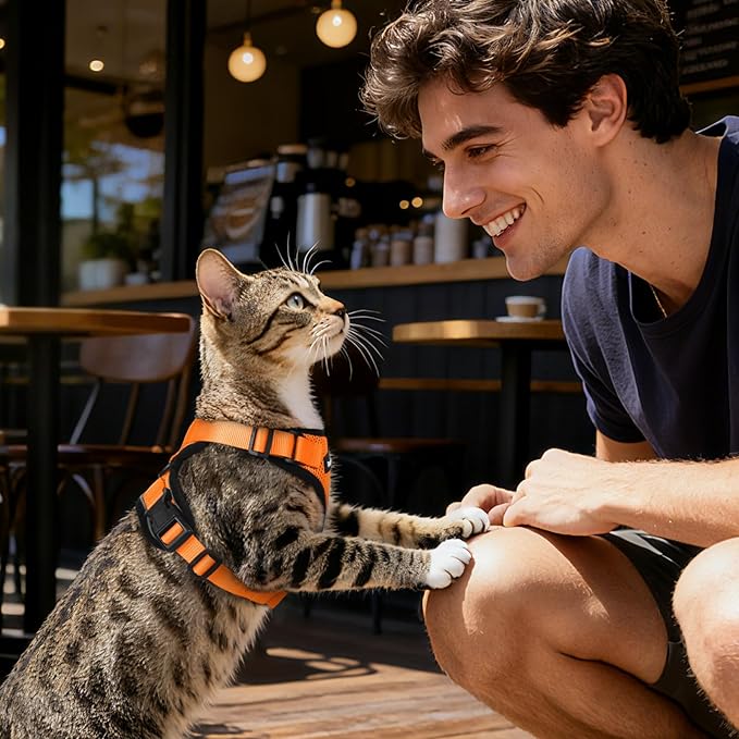 Dooradar Cat Harness and Leash Set, Escape Proof Safe Adjustable Kitten Vest Harnesses for Walking, Easy Control Soft Breathable Mesh Jacket with Reflective Strips for Cats, Orange, S