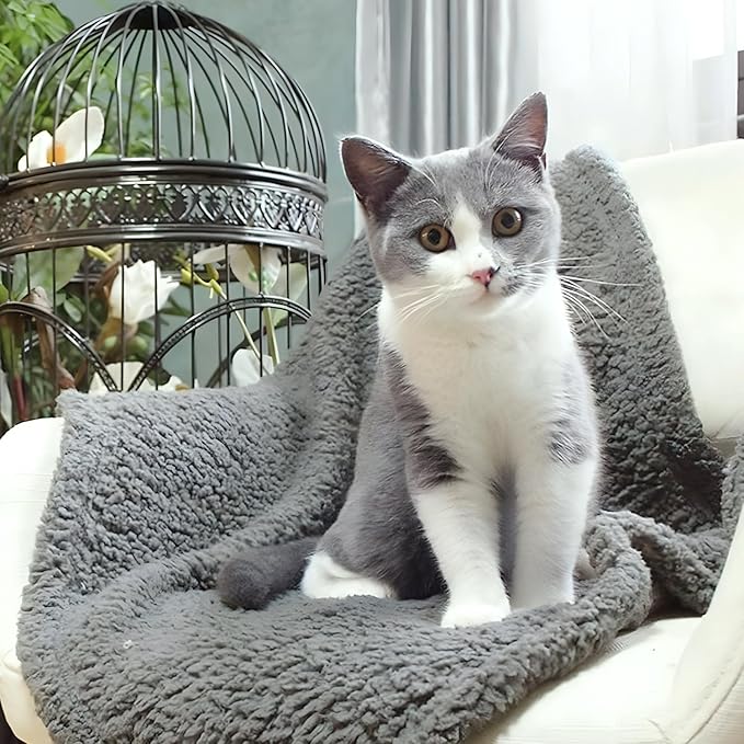 furrybaby 1 Pack 2 Puppy Blankets for Medium Dogs Super Soft Premium Sherpa Pet Calming Blankets for Cat Bed Couch Car and Indoor Washable Fleece Dog Blankets(32"x40", Grey&Grey)