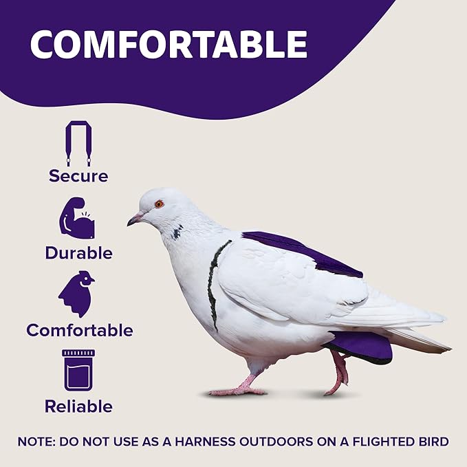 Hen Holster Starter Kit - Wrap-Around Duck Diaper w/Removable Liner & Fixed Tab - Durable, Secure Fit, Easy-to-Wear - Essential Duck Supplies for Real Ducks, Made in USA - Purple, XS