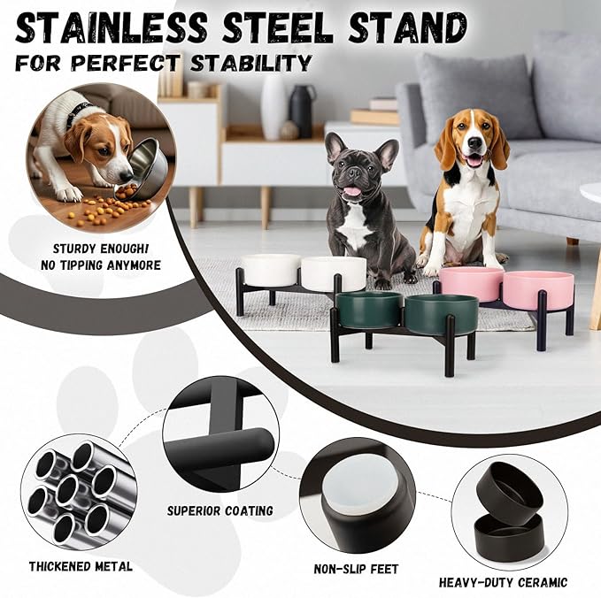 Raised Ceramic Dog Bowl Set - Elevated Double Dishes with Stainless Steel Stand - Food and Water Bowls for Small to Medium Dogs - Each Holds 2 Cups (28.75 fl oz) - Black
