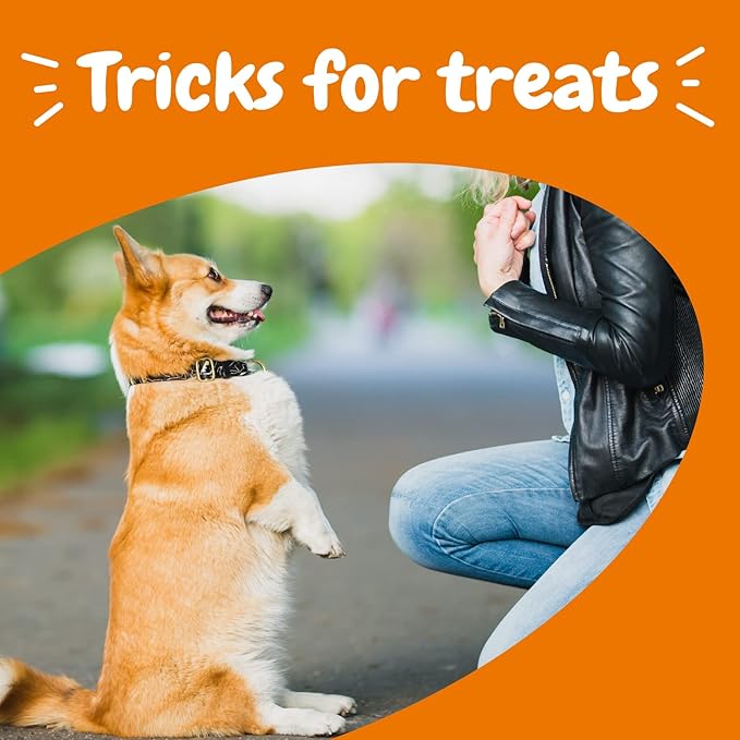 Zesty Paws Training Treats for Dogs & Puppies - Dog Treats for Training - Healthy Dog Chews for Hip, Joint & Muscle Health - for All Breeds and Ages - Bacon Flavor - 8oz