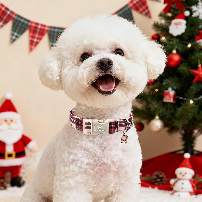 Maca Bates Christmas Red and White Plaid Basic Dog Collar for Extra Large Boy Girl Dogs with Santa Charm,Gingham Scottish Soft Adjustable Durable Checkered Collars,Winter Gift for Male Female Puppy