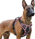 rabbitgoo Dog Harness for Large, No Pull Pet Harness with 3 Buckles, Adjustable Soft Padded Vest with Control Handle, Walking Reflective Pet Vest for Extra Large Dogs, Black & Pink, XL