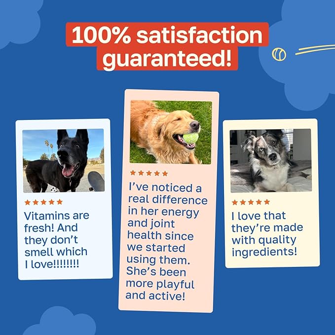 Happy Paws 10-in-1 Dog Multivitamin, Supplements for Dogs for Daily Nutritional & Immune Support, Suitable for All Breeds & Ages with Coconut Oil, Vitamin D3 and Biotin, Vegan Lamb Flavor, (100 Chews)
