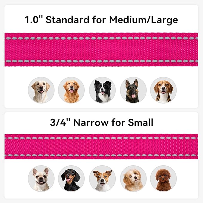 Joytale Dog Leash, 4 FT Double-Sided Reflective, Padded Handle Nylon Heavy Duty Leashes for Small Dogs Walking, Hotpink