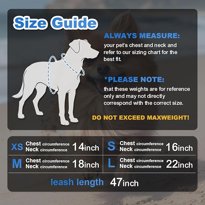 Dog Harness Medium Sized Dogs, Puppy Harness and Leash Set for Training, Running, Walking, Suitable for Small and Medium Dog Vest, Blue, L