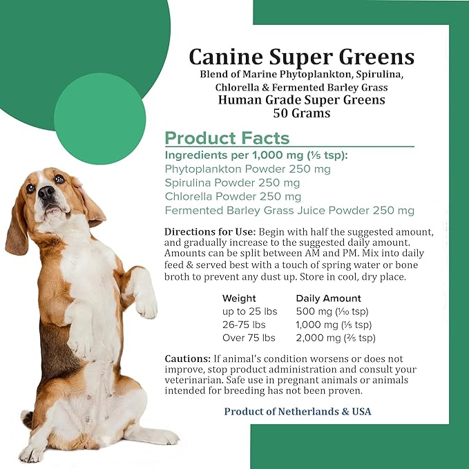 Holistic Bin Canine Super Greens Plant-Based Dog Food Toppers | Nutrient-Rich Supplement Powder | Gut Balance, Joint Strength, Digestion, Fresh Breath & Overall Canine Wellness | Greens Powder (50g)