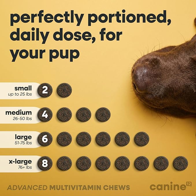 Dog Multivitamin - 24-in-1 Chewable Supplement with Vitamins A, B, C, D, E and Dog Probiotics – Premium Dog Vitamin Chews w/Human-Grade & Natural Ingredients, 120 Count
