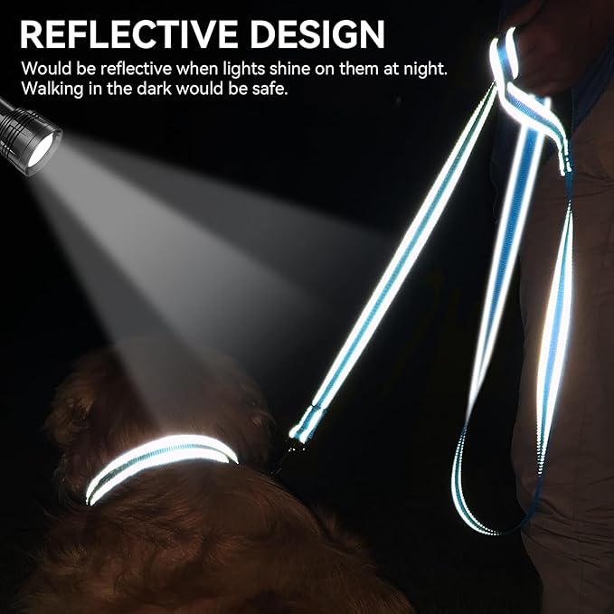 Joytale Dog Leash, 4 FT Double-Sided Reflective, Padded Handle Nylon Heavy Duty Leashes for Medium & Large Dogs Walking, SkyBlue