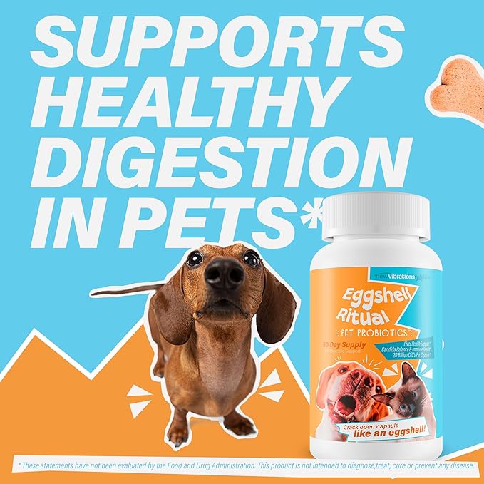 Egg Shell Ritual Pet Probiotics - Our Best Pet Probiotics for Dogs - Skin Probiotic Supplement for Dogs - Cat Gut Health Supplement - Large & Small Pet Probiotic Gut Flora Supplements for Dogs & Cats