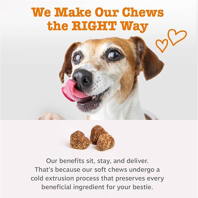 Zesty Paws Liver Support Supplement for Dogs - with Milk Thistle Extract, Turmeric Curcumin, Choline - Soft Chew Formula - for Dog Liver Function