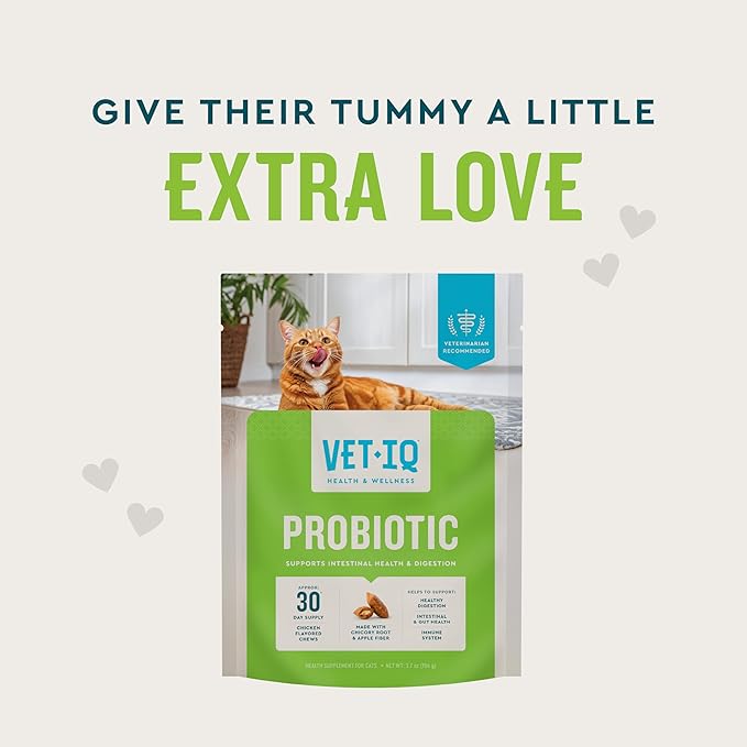 VetIQ Cat Probiotics Supplement – Probiotic, Prebiotic & Postbiotic for Cats, Digestive & Gut Health Support, Constipation & Diarrhea Relief, Chicken Flavored, 3.7 oz