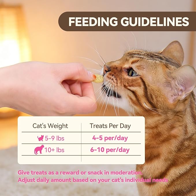 Catnip Cat Treats, Chicken & Salmon Flavor Crunchy Cat Biscuits, Fish-Shaped Training Snacks for Adult Cats, 8 oz