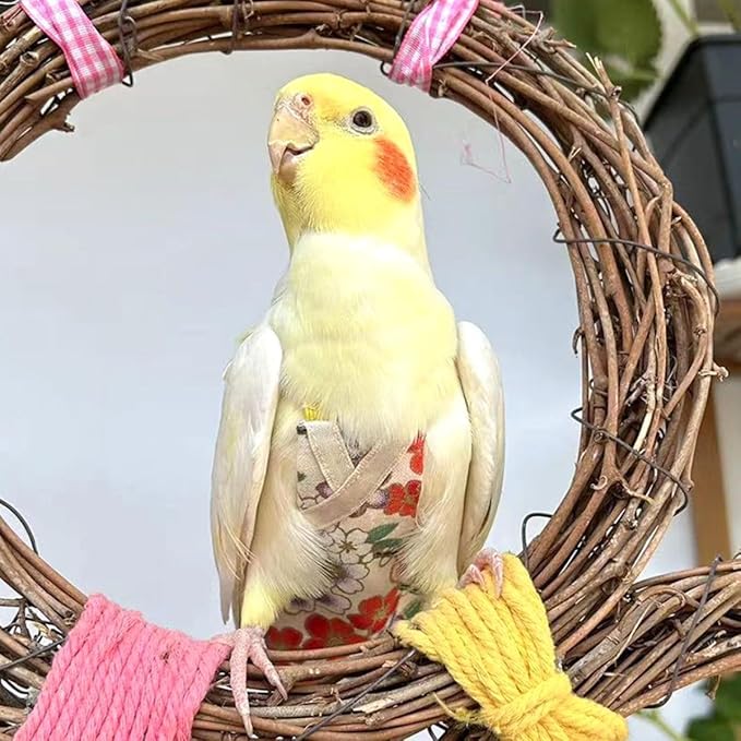 Bird Flight Suits Diapers, Parrot Flight Suits Diapers for Quaker Parakeets Cockatiels Conures Macaw African Grey, Bird Diaper, Parrot Clothes (Pink B,Macaw)