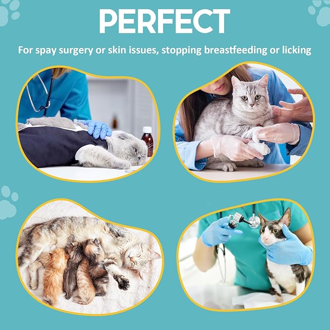 Avont Cat Recovery Suit - Post-Surgery Onesie for Cats, Alternative to Cone of Shame, Protective Spay Suit for Female Kitten, Ideal for Healing and Skin Conditions -Orange(S)