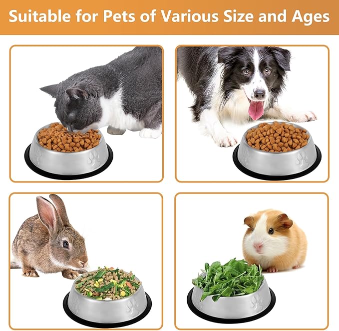 Stainless Steel Cat Bowl, 2 Pack Metal Dog Bowls for Food and Water, Non-Slip Pet Feeding Dish Bowl with Rubber Base for Indoor Cats Small Dogs