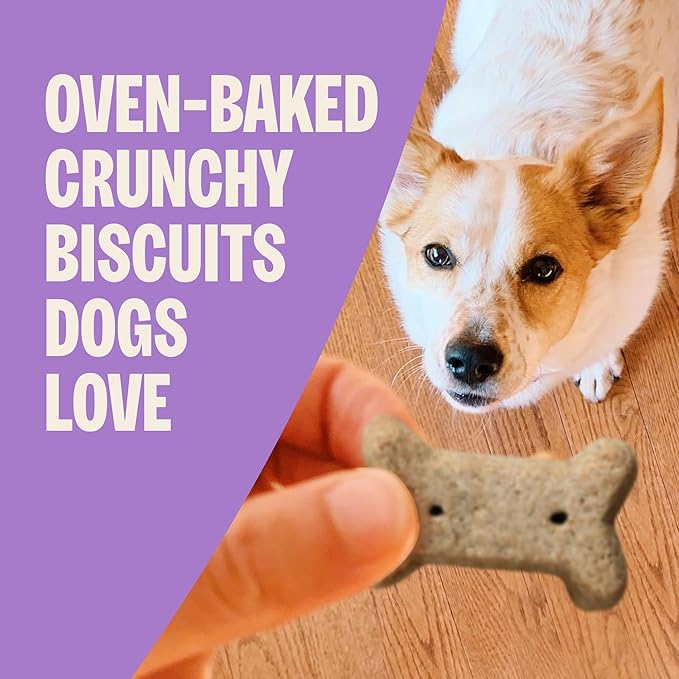 Wellness Old Mother Hubbard Classic Original Mix Dog Biscuits, Natural Training Treats, 4 Flavors, Small Size, 6 lb Bag