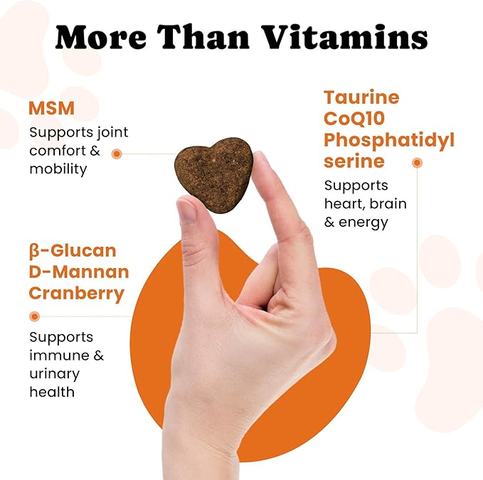 Dog Daily Nutrition & Digestive Support Bundle – Multivitamin Soft Chews with Probiotic Powder for Gut Health & Wellness