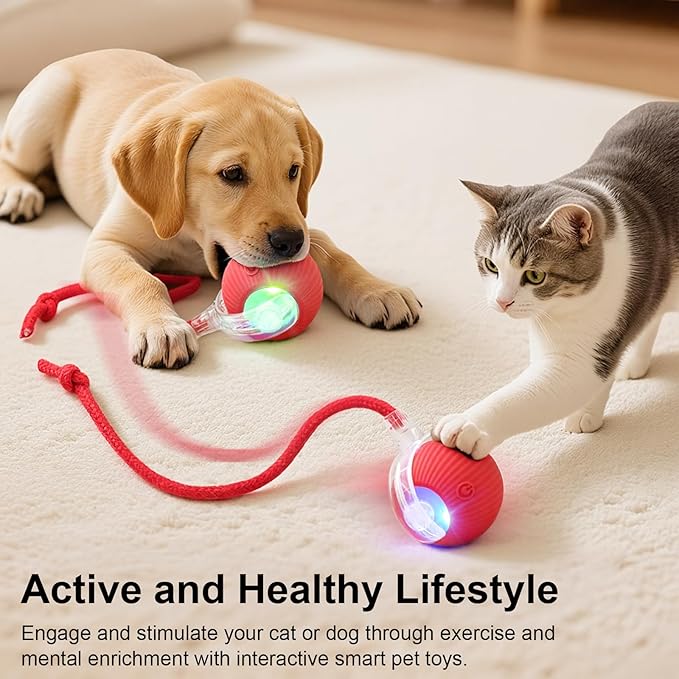 Interactive Electric Automatic Rolling Moving USB Rechargeable Self Activated Play Stimulation Toy Smart Chase Teaser Ball with Rope for Bored Adult Indoor Kitten Cat and Puppy Dog, Pink