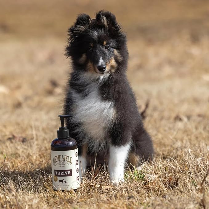 Hemp Well Thrive Oil for Dogs and Cats – Supports Hip, Joint, and Heart Health, Promotes Immune System, and Promotes Healthy Skin from Seasonal Allergies, Organically Sourced - 16 Ounces