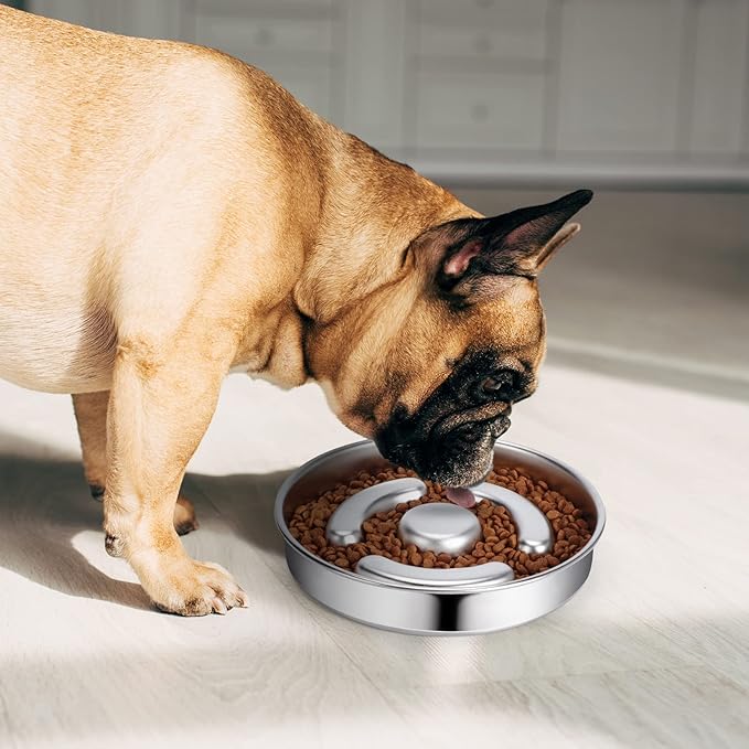 Slow Feeder Dog Bowl Stainless Steel, 2 Cups Metal Non-Slip Dog Food Bowls, Dogs Water Bowl for Small & Medium Sized Dogs, Fun Bloat Stop Pet Bowl for Fast Eaters, Slows Down Pets Eating