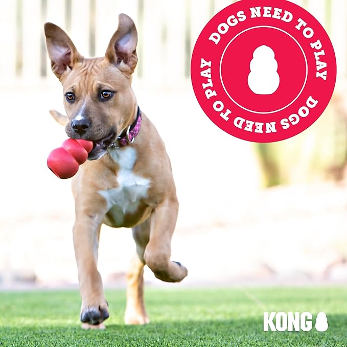 KONG Senior - Dog Toy with Gentle, Natural Rubber - Durable Dog Toy for Older Dogs - Use Treats with Stuffable Chew Toy - Treat Toy for Chewing & Fetching - for Small Dogs (Pack of 2)
