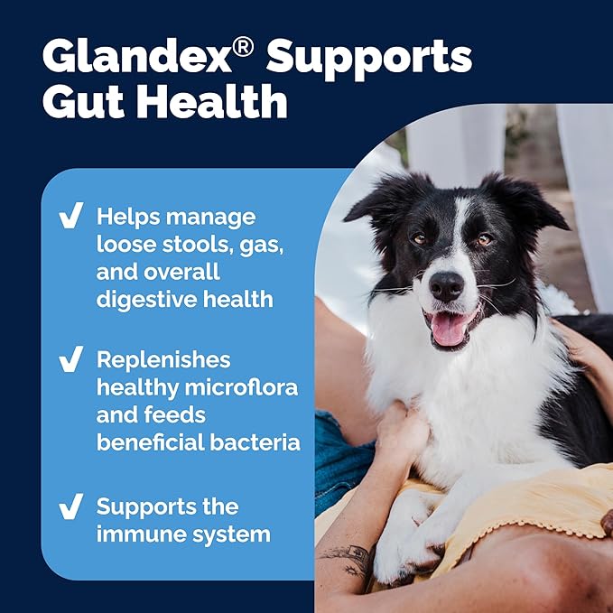Vetnique Glandex Daily Probiotics for Dogs with Prebiotics to Support Gut Health, Diarrhea with Fiber and Digestive Enzymes, Dog Probiotic Chews or Powders (30ct Chews, Bacon Chews)